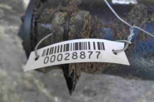 Изображение товара 28877 - 00028877 bachok gidrousilitelya 1