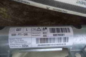 Изображение товара 29053 - 00029053 podushka bezopasnosti potolochnaya levaya Ford Transit 1