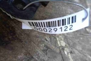 Изображение товара 29122 - 00029122 dozhdevik 1