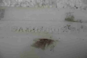 Изображение товара 29384 - 00029384 gorlovina bachka omyvatelya Ford Escort 2