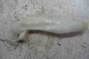 Изображение товара 29384 - 00029384 gorlovina bachka omyvatelya Ford Escort 3