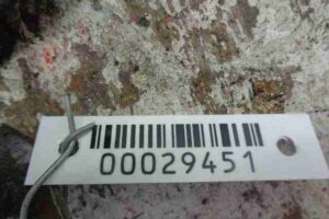 Изображение товара 29451 - 00029451 petlya kapota pravaya 1