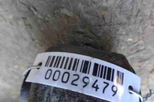 Изображение товара 29479 - 00029479 rychag zadnij levyj Hyundai H1 2