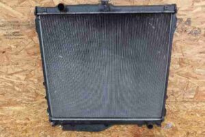 Изображение товара 29795 - 00029795 radiator dvs Renault Laguna 1