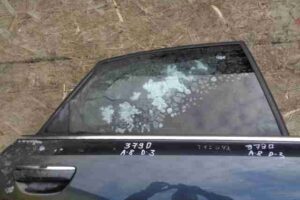 Изображение товара 30167 - 00030167 dver zadnyaya pravaya 1