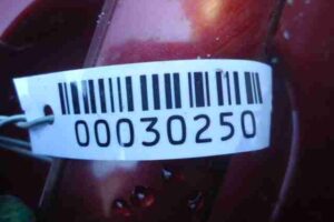 Изображение товара 30250 - 00030250 dver zadnyaya levaya Opel Omega 3