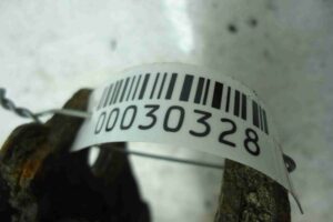 Изображение товара 30328 - 00030328 amortizator perednij levyj Citroen Berlingo 2