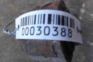 Изображение товара 30388 - 00030388 rychag zadnij pravyj 2