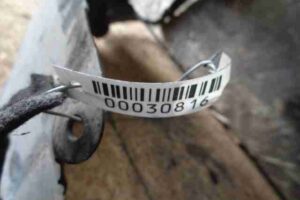 Изображение товара 30816 - 00030816 podkrylok perednij levyj 1