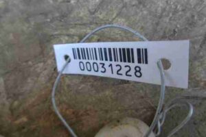 Изображение товара 31228 - 00031228 bachok rasshiritelnyj 1