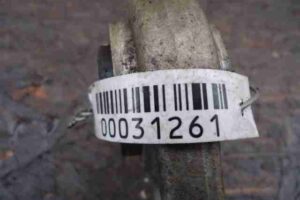 Изображение товара 31261 - 00031261 rychag zadnij pravyj verkhnij Honda Ridgeline 1