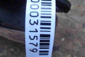 Изображение товара 31579 - 00031579 amortizator perednij pravyj 3