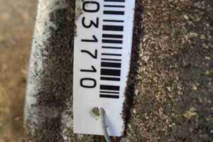 Изображение товара 31710 - 00031710 zaschita dvigatelya 1