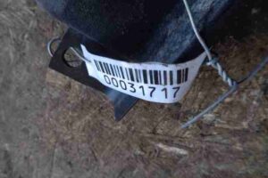 Изображение товара 31717 - 00031717 nakladka na porog Ford Transit Connect 3