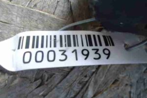 Изображение товара 31939 - 00031939 porog plastikovyj levyj Opel Omega 1