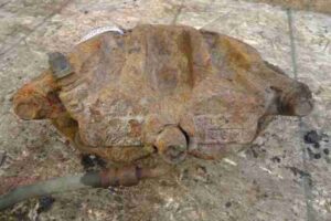 Изображение товара 31975 - 00031975 support perednij levyj Renault Sandero 1