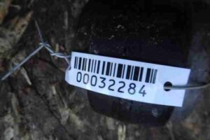 Изображение товара 32284 - 00032284 rychag perednij levyj nizhnij 3