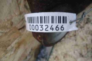 Изображение товара 32466 - 00032466 rychag zadnij levyj Ford Transit Connect 3