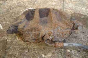 Изображение товара 32563 - 00032563 support perednij pravyj Renault Sandero 2