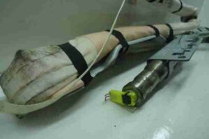 Изображение товара 32997 - 00032997 podushka bezopasnosti potolochnaya levaya Toyota Hiace 2