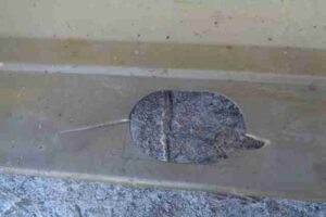 Изображение товара 33053 - 00033053 porog plastikovyj levyj Ford Scorpio 3