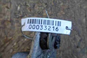 Изображение товара 33216 - 00033216 radiator maslyanyj 1