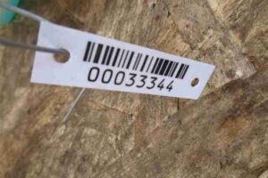 Изображение товара 33344 - 00033344 bachok omyvatelya Renault Sandero 3