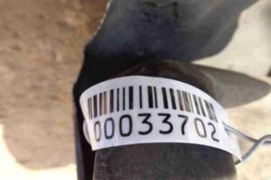 Изображение товара 33702 - 00033702 kulak povorotnyj pravyj 6