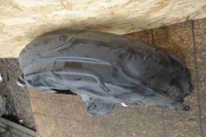 Изображение товара 33766 - 00033766 podkrylok zadnij levyj Peugeot 306 3