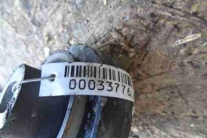 Изображение товара 33776 - 00033776 rychag perednij pravyj nizhnij 3