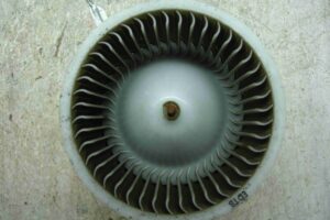 Изображение товара 34156 - 00034156 ventilyator otopitelya 