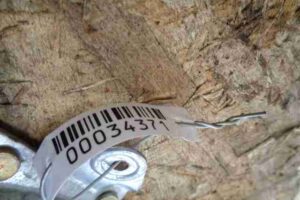 Изображение товара 34371 - 00034371 podushka bezopasnosti potolochnaya levaya Volkswagen Up 1