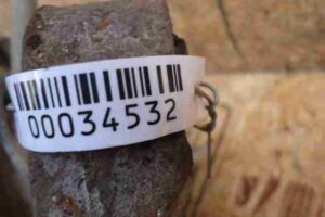 Изображение товара 34532 - 00034532 stupitsa zadnyaya pravaya Peugeot 306 1