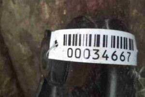 Изображение товара 34667 - 00034667 rychag perednij nizhnij pravyj 2