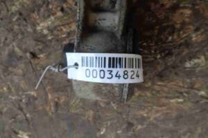 Изображение товара 34824 - 00034824 rychag perednij levyj verkhnij 2