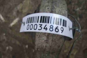 Изображение товара 34869 - 00034869 rychag perednij pravyj nizhnij 1