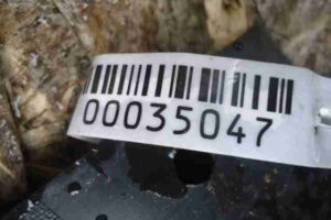 Изображение товара 35047 - 00035047 porog plastikovyj pravyj Toyota Venza 1