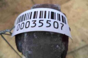 Изображение товара 35507 - 00035507 rychag zadnij pravyj 1