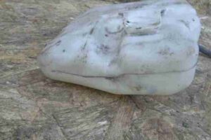 Изображение товара 35525 - 00035525 bachok rasshiritelnyj Renault Sandero 2