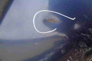 Изображение товара 36106 - 00036106 dver perednyaya levaya Jaguar XF 3