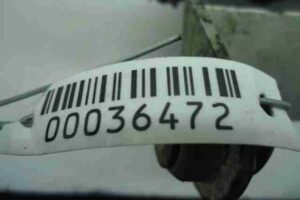 Изображение товара 36472 - 00036472 radiator maslyanyj 3