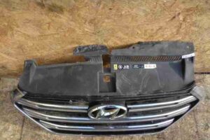 Изображение товара 190549 - 00036572 reshetka radiatora Kia Forte 1