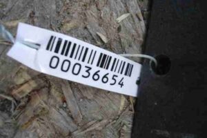 Изображение товара 36654 - 00036654 porog plastikovyj levyj Mazda 6 2