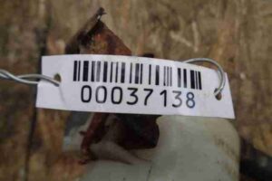 Изображение товара 37138 - 00037138 bachok gidrousilitelya Renault Sandero 2