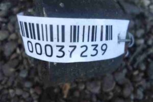 Изображение товара 37239 - 00037239 amortizator zadnij levyj 2