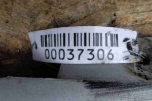 Изображение товара 37306 - 00037306 nakladka dekorativnaya 3