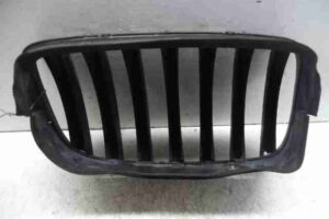 Изображение товара 37433 - 00037433 reshetka radiatora 