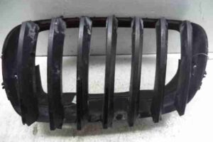 Изображение товара 37433 - 00037433 reshetka radiatora 1