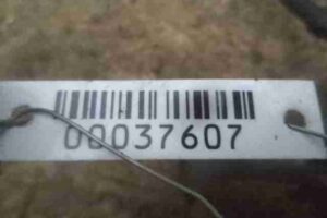 Изображение товара 37607 - 00037607 support zadnij levyj Ford Transit 3