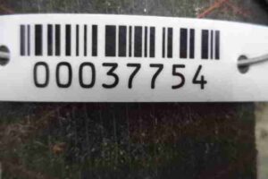 Изображение товара 37754 - 00037754 blok upravleniya sidenem Toyota Corolla Verso 3